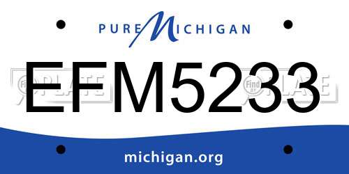 EFM5233 Michigan License Plate