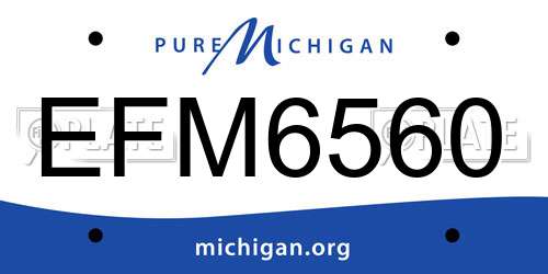 EFM6560 Michigan License Plate