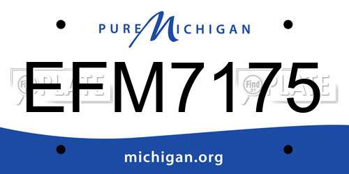 EFM7175 Michigan License Plate