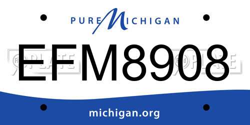 EFM8908 Michigan License Plate