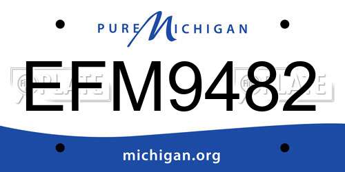 EFM9482 Michigan License Plate