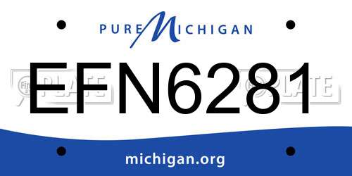 EFN6281 Michigan License Plate