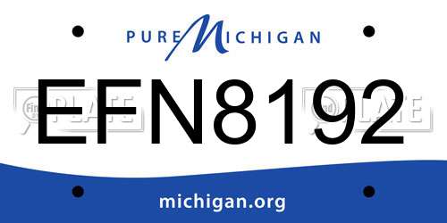 EFN8192 Michigan License Plate