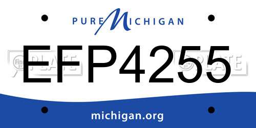 EFP4255 Michigan License Plate