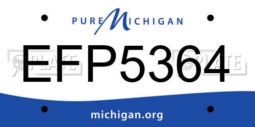 EFP5364 Michigan License Plate