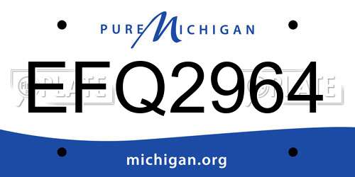 EFQ2964 Michigan License Plate