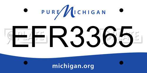 EFR3365 Michigan License Plate