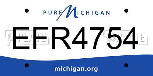 EFR4754 Michigan License Plate