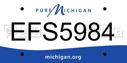 EFS5984 Michigan License Plate