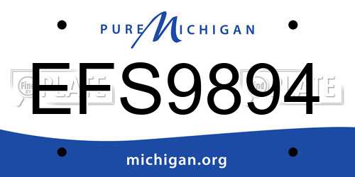 EFS9894 Michigan License Plate