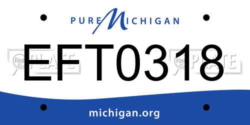 EFT0318 Michigan License Plate