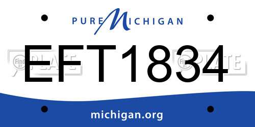 EFT1834 Michigan License Plate