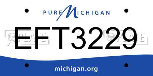 EFT3229 Michigan License Plate