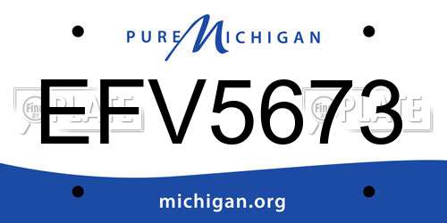 EFV5673 Michigan License Plate