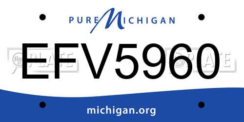 EFV5960 Michigan License Plate