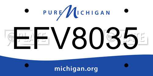 EFV8035 Michigan License Plate