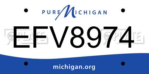 EFV8974 Michigan License Plate