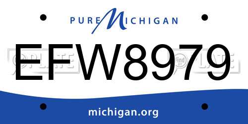EFW8979 Michigan License Plate