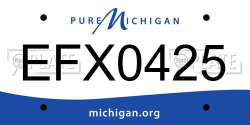EFX0425 Michigan License Plate