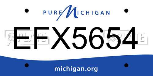 EFX5654 Michigan License Plate
