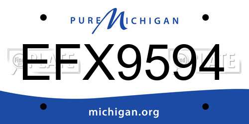 EFX9594 Michigan License Plate