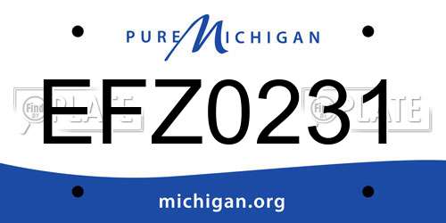 EFZ0231 Michigan License Plate