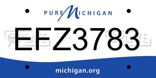 EFZ3783 Michigan License Plate
