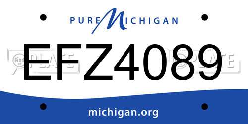 EFZ4089 Michigan License Plate