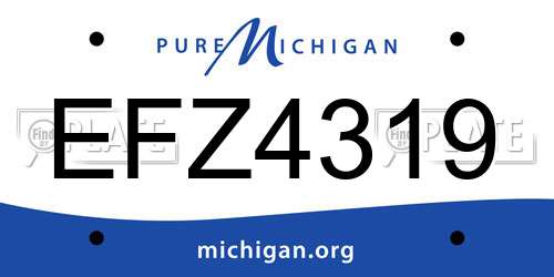 EFZ4319 Michigan License Plate