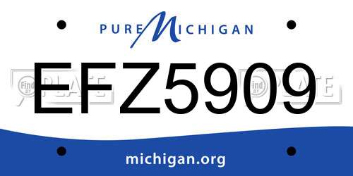 EFZ5909 Michigan License Plate