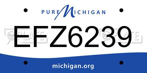 EFZ6239 Michigan License Plate