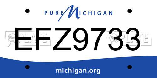 EFZ9733 Michigan License Plate