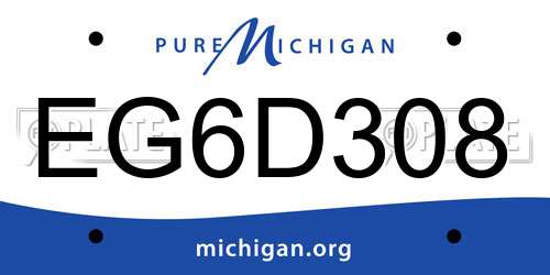 EG6D308 Michigan License Plate