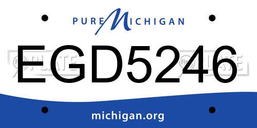 EGD5246 Michigan License Plate