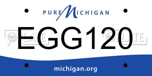 EGG120 Michigan License Plate