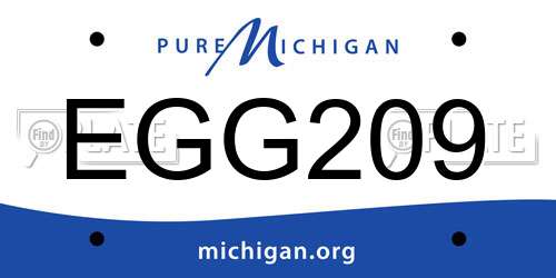 EGG209 Michigan License Plate