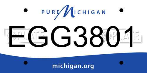 EGG3801 Michigan License Plate