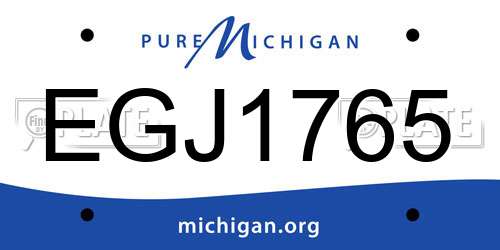 EGJ1765 Michigan License Plate