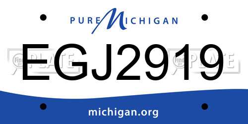EGJ2919 Michigan License Plate