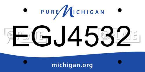 EGJ4532 Michigan License Plate
