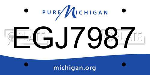 EGJ7987 Michigan License Plate