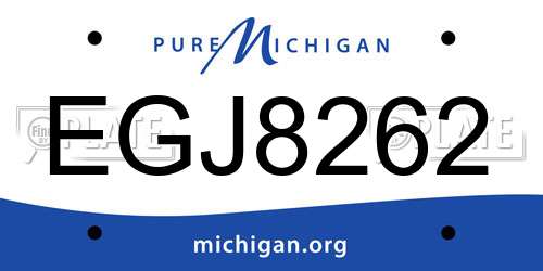 EGJ8262 Michigan License Plate