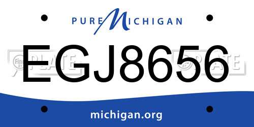 EGJ8656 Michigan License Plate
