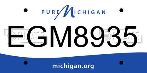 EGM8935 Michigan License Plate