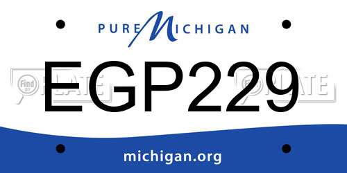 EGP229 Michigan License Plate