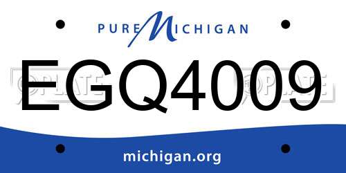 EGQ4009 Michigan License Plate