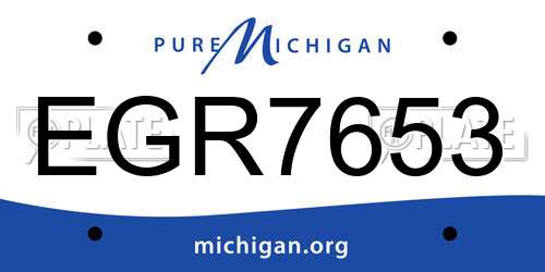 EGR7653 Michigan License Plate