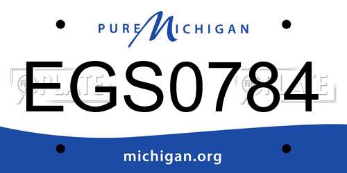 EGS0784 Michigan License Plate
