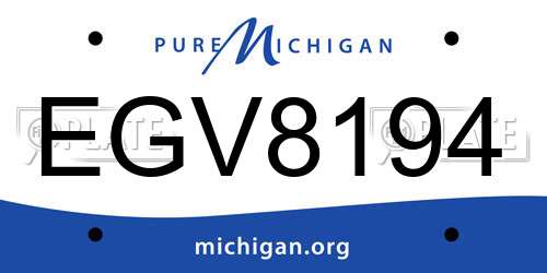 EGV8194 Michigan License Plate