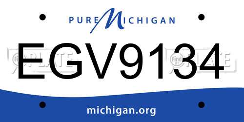 EGV9134 Michigan License Plate